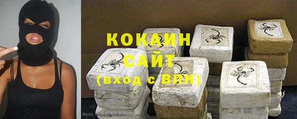 твердый Алексин
