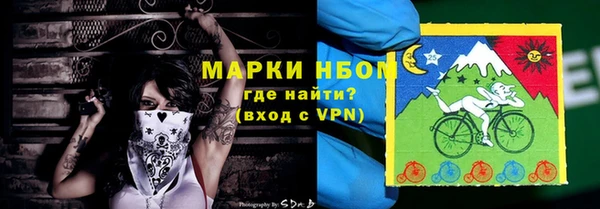 индика Аркадак