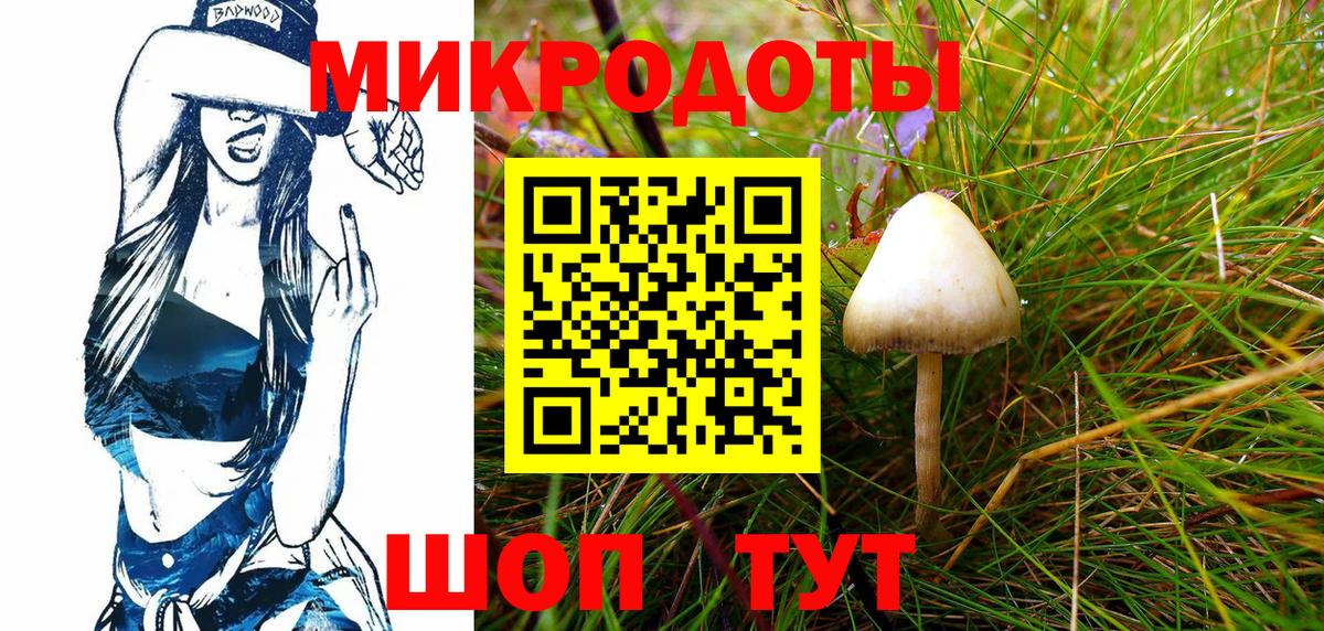 Галлюциногенные грибы Cubensis Георгиевск